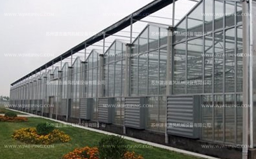 養(yǎng)殖業(yè)用水簾風機 養(yǎng)殖業(yè)用水簾風機