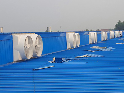 1460負(fù)壓風(fēng)機(jī)價格,玻璃鋼負(fù)壓風(fēng)機(jī)廠家現(xiàn)貨