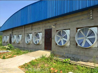 負壓風機價格差別大原因 負壓風機價格差別大原因