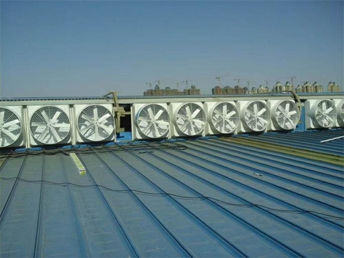 氣樓安裝玻璃鋼屋頂風機效果圖片 氣樓安裝玻璃鋼屋頂風機效果圖片