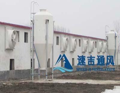 400平方豬舍配水簾風(fēng)機怎么計算？速吉通風(fēng)案例詳解