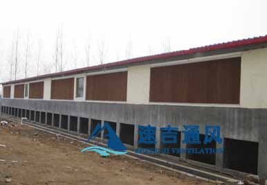 400平方豬舍配水簾風(fēng)機怎么計算？速吉通風(fēng)案例詳解